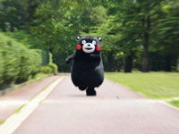 1501579102842045967.gif timg (1).gif