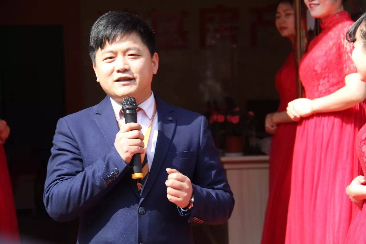 枝繁叶茂树木图案结构绿意自然