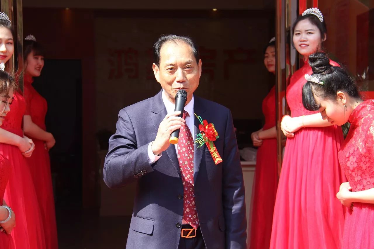 枝繁叶茂树木图案结构绿意自然