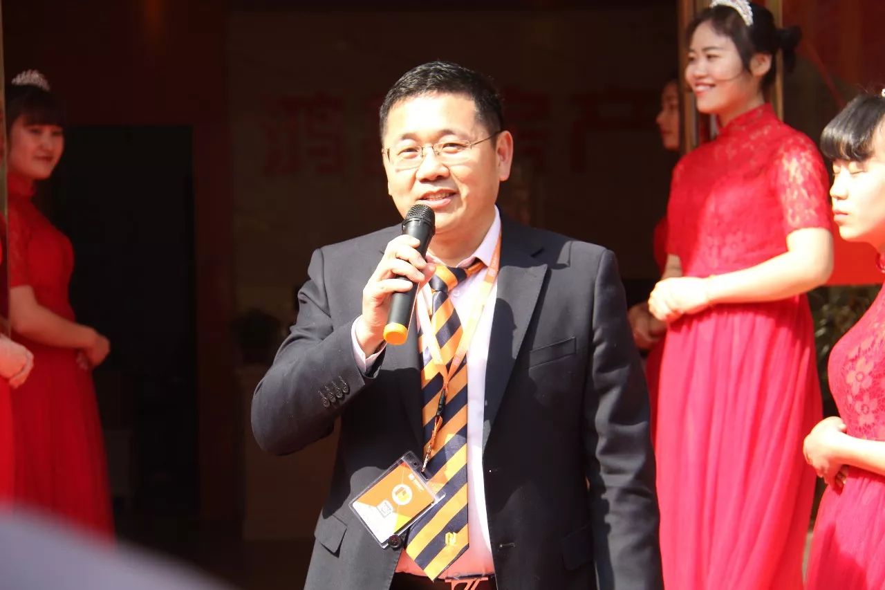 枝繁叶茂树木图案结构绿意自然