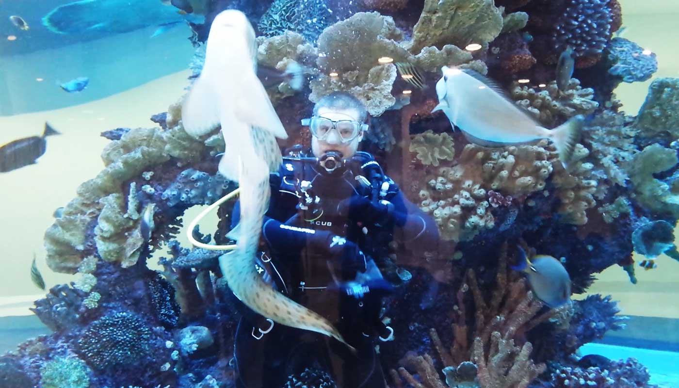 royal-childrens-hospital-aquarium11.jpg