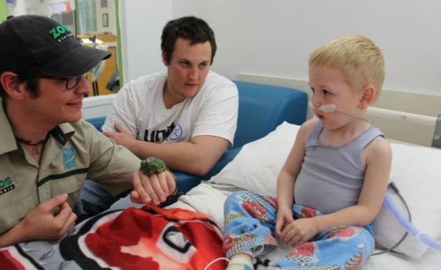 Monash Children's Hospital.jpg